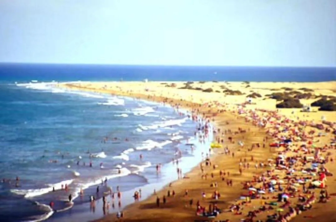 Ojo De Halcon Apartment Playa del Ingles   Playa del Ingles (Gran Canaria)